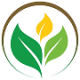 Green Plus Việt Nam